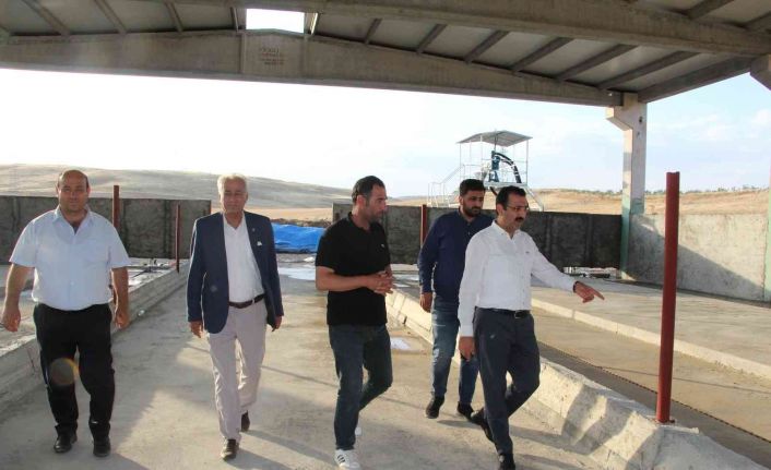 Devletten 4 milyon lira destek aldı, günde 5 ton süt üretmeyi hedefliyor