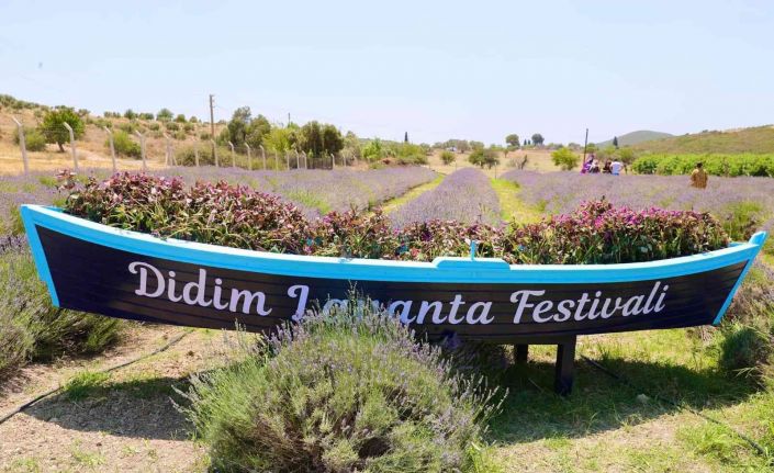 Didim Lavanta Festivali için gün sayıyor