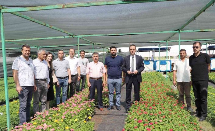 Diyarbakır’da 20 bin çam fidanı ve 500 bin mevsimlik çiçek dağıtıldı