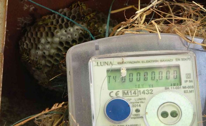 Elektrik arıza ekiplerinin başı arılarla dertte