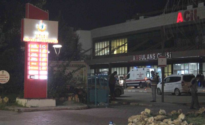 Fırat Kalkanı Harekat Alanı bölgesinde TSK unsurlarına saldırı: 2 şehit