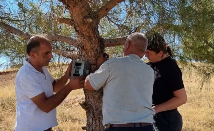 Fotokapanlar bakımdan geçirildi