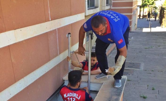 Havlandırma boşluğuna düşen yavru kediyi itfaiye kurtardı