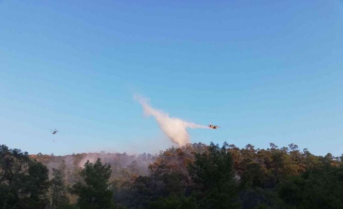 Helikopterlerin sortileri, uçakların müdahalesi yangının büyümesini engelledi