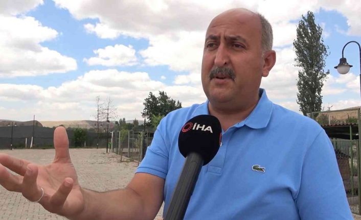 Her ay 100’ün üzerinde köpek bırakılınca, "Yalvarıyorum" diyerek çağrıda bulundu