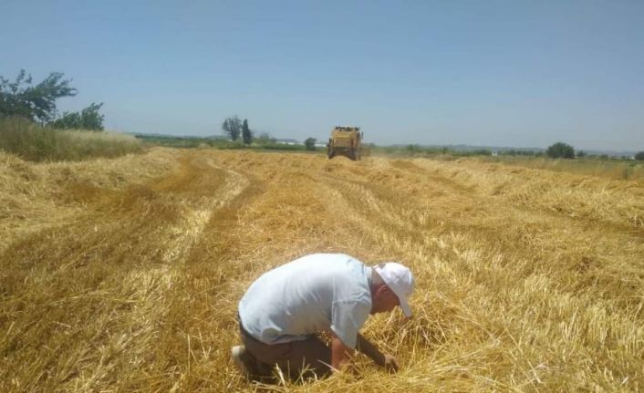 Hububat hasadının başlamasıyla biçerdöverler yönelik denetimler arttırıldı