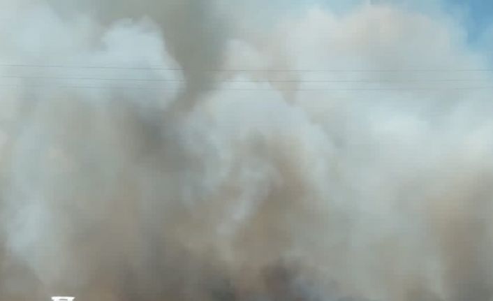 İstanbul - Tekirdağ yolunda yangın: Dumanla kaplanan yol sürücüler zor anlar yaşattı