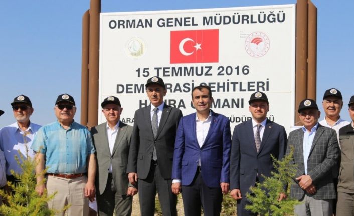 Karaman’da 15 Temmuz Demokrasi Şehitleri Hatıra Ormanı’na 251 fidan dikildi