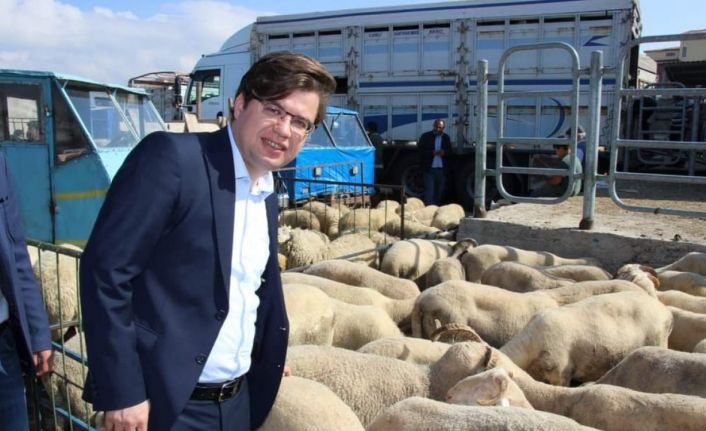 Kaymakam Düzgün kurban pazarına ziyaret etti
