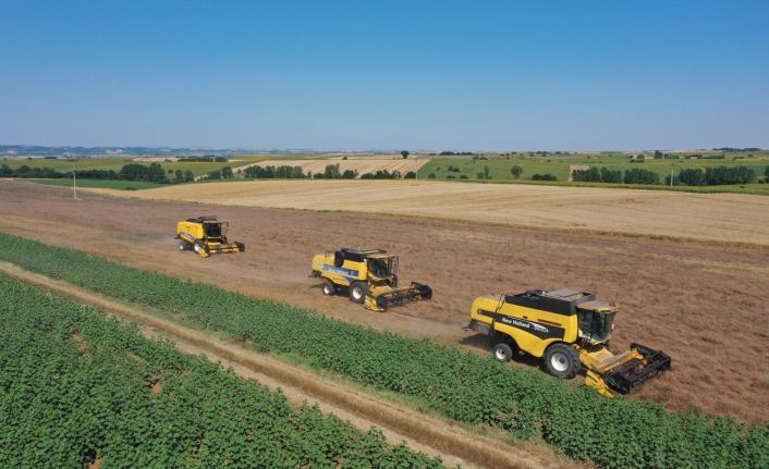 Kendi tarlasından vatandaşın sofrasına