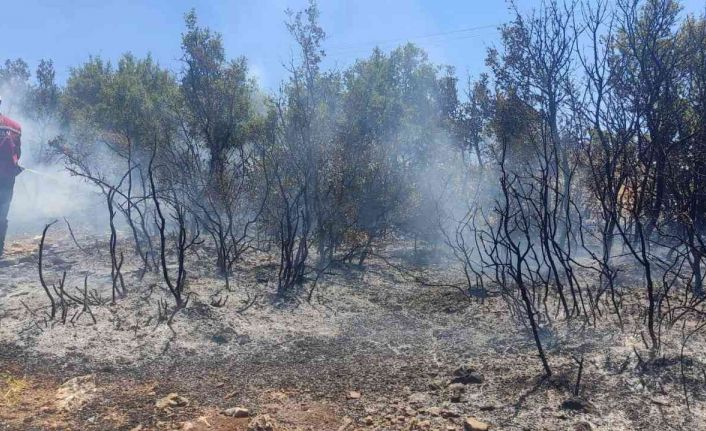Kilis’te çıkan orman yangını kısa sürede söndürüldü