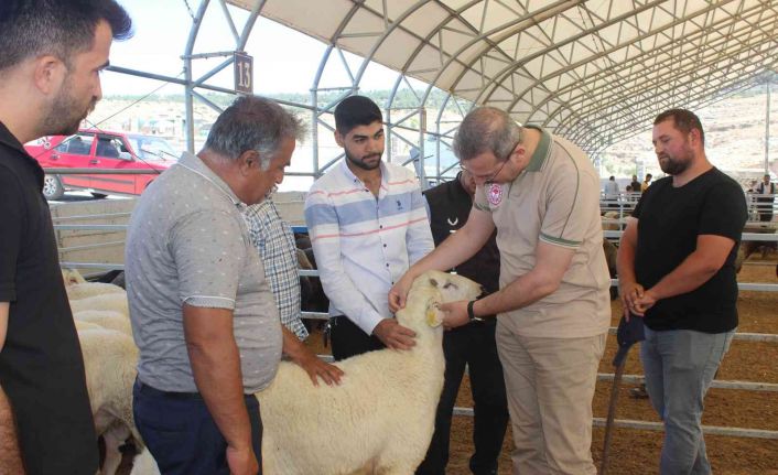 Kilis’te kurban pazarı denetlendi