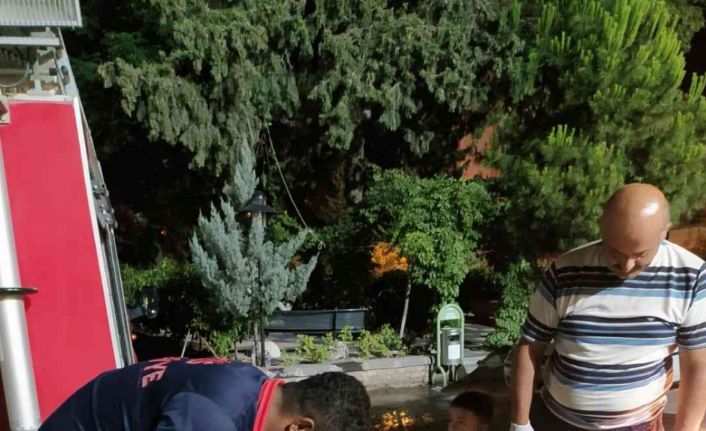 Kilis’te sondaj kuyusuna düşen yavru köpek kurtarıldı