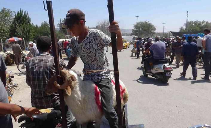 Kilis’te vatandaşlar kurbanlıklarını motosikletle taşıdı