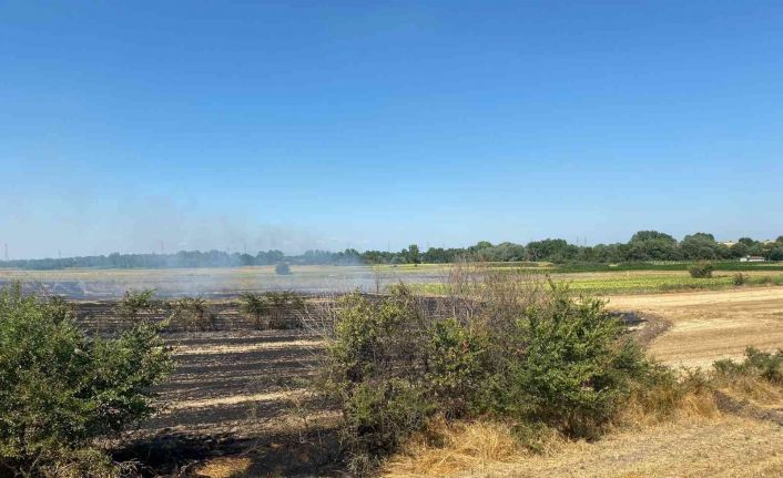 Kırklareli’nde anızlık alanda çıkan yangında 150 dekar alan zarar gördü