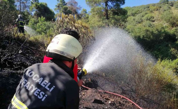 Kocaeli’de ormanlık alanda yangın çıktı