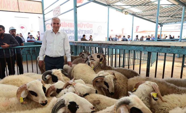 Küçükbaş yetiştiricisine yıkıma makinesi desteği