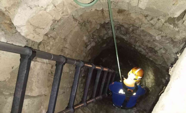 Kuyuda mahsur kalan tilki ekiplerin ortak çalışmasıyla kurtarıldı