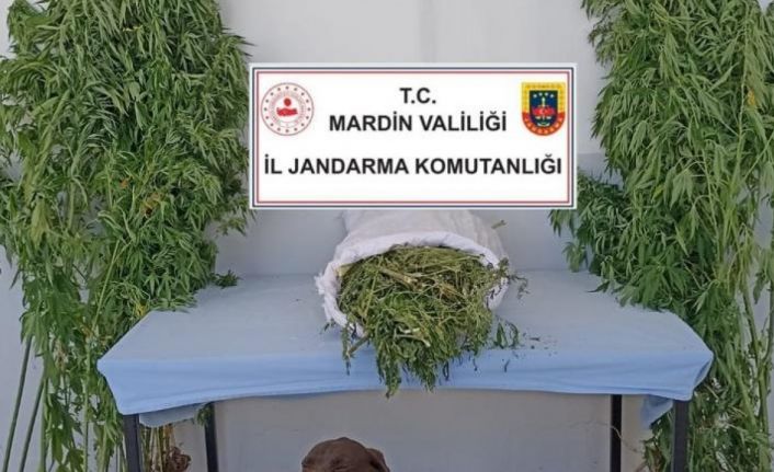 Mardin’de uyuşturucu ve tarihi eser kaçakçılığı operasyonu: 5 gözaltı