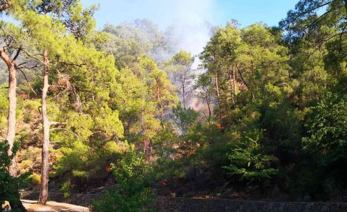 Marmaris’te orman yangını