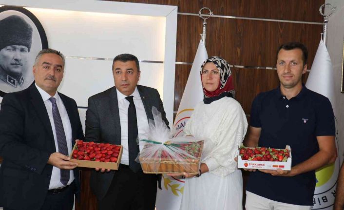 MTB Başkanı Özcan, çilek üreticilerini ödüllendirdi
