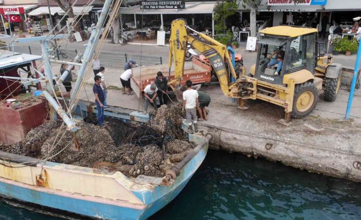 Muğla denizleri hayalet ağlardan kurtarılıyor