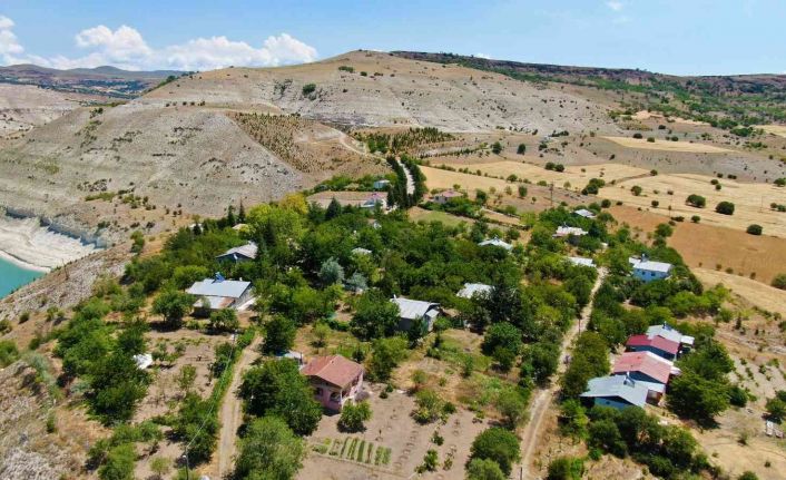 Ömrünü ağaçlara adadı, 38 yılda köyün çehresini değiştirerek 30 bin ağaç dikti
