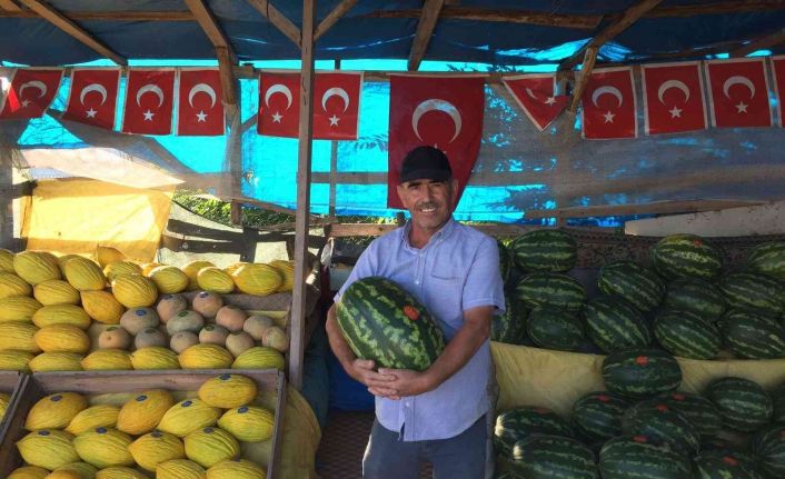 Osmaneli karpuzları artık ayırt edilebiliyor