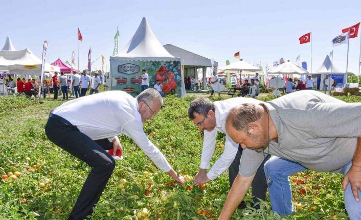 Salçalık domateste marka olan Karacabey’de domates fuarı