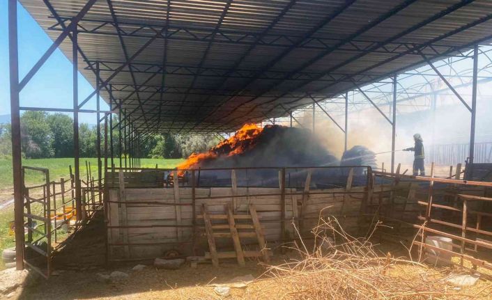 Sigara izmariti 5 ton buğday ve 2 bin balya samanı yaktı