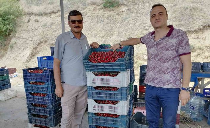 Simav’lı çiftçiler kiraz ve vişneden yılda 250 milyon TL gelir elde ediyor