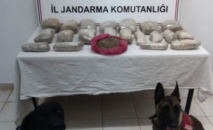 Sınırdan geçirilen 2 milyon lira değerindeki 11 kilogram bonzai ele geçirildi