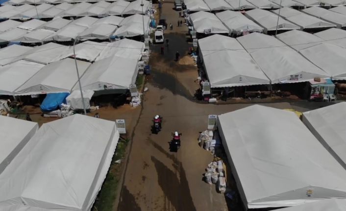 Sultanbeyli’de Kurban Bayramı öncesi sahte para denetimi: Hayvan pazarı esnafı uyarıldı