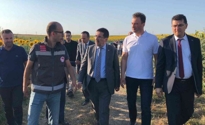 Tarım ve Orman Bakan Yardımcısı Pakdil: “Edirne ve Kırklareli’nde çayır tırtılı sorununu hemen hemen bitti diyebiliriz”