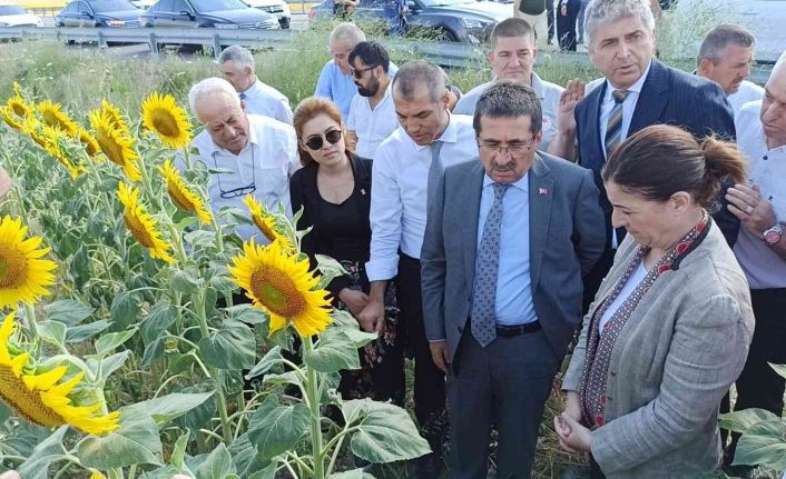 Tarım ve Orman Bakan Yardımcısı Pakdil: "Rekolte açısından bir kaybımız olmaz"