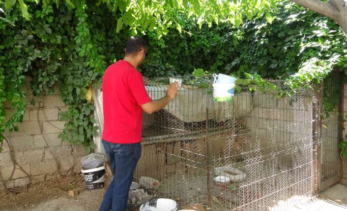 Tavuk hırsızlarının rahat tavrı pes dedirtti: Fark edilince ev sahibine el sallayarak kaçtılar