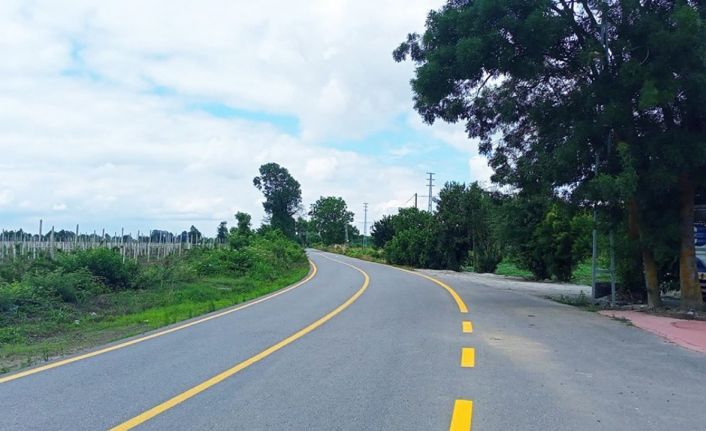 Trafiğin yoğun işlediği merkezi noktalarda yaya geçitleri yenileniyor