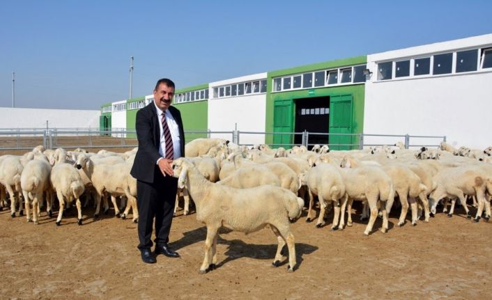 TÜDKİYEB Genel Başkanı Nihat Çelik: "3 milyonun üzerinde küçükbaş hayvan kurban edildi"