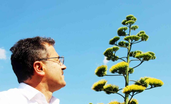 Unesco Dünya kültür mirası listesinde