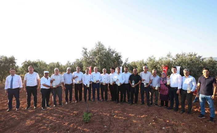 Zeytincinin haşerelere karşı mücadelesine önemli destek