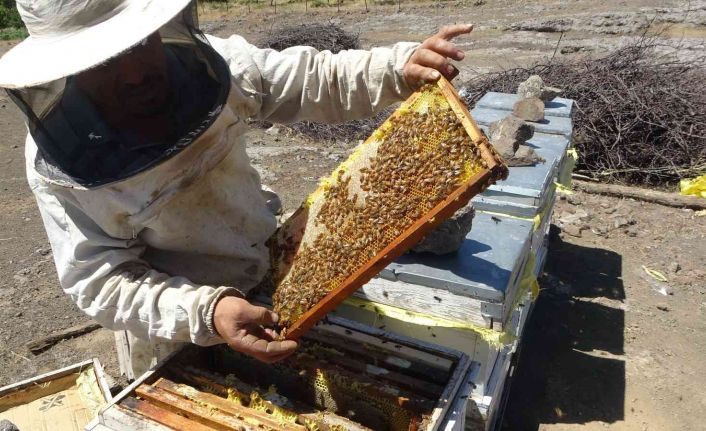 32 yıllık arıcından sahte bal uyarısı