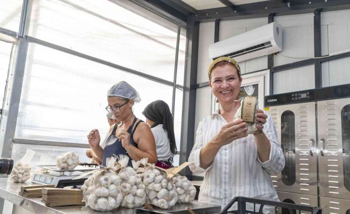 50 yıllık ata tohumu, Mersinden Kadın Kooperatifi ile sofralarda yerini aldı