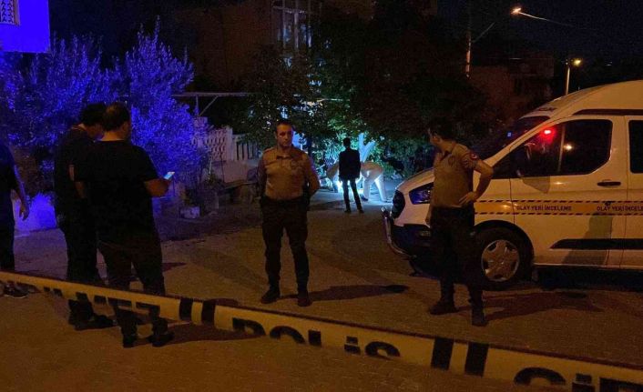 Baldızını ve oğlunu öldürüp, bacanağını ağır yaralayan şahıs ve oğlu tutuklandı