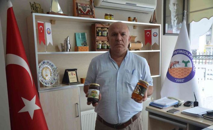 Başkan Çiftçi: “Ordu’da kestane balında yüzde 90 rekolte kaybı var”