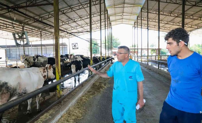 Başkan Güler, bir günlüğüne mesleğine geri dönüp hayvanlar için çalıştı