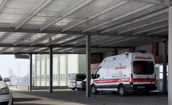 Devrilen ot  yüklü traktör römorkunun altında kaldı, hayatını kaybetti