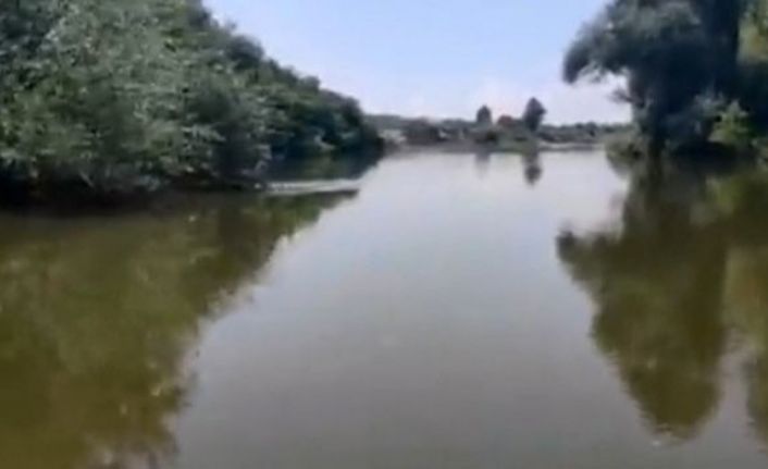 Edirne Valiliğinden, "Meriç Nehri’nde 39 göçmenin mahsur kaldığı" iddiasına ilişkin açıklama