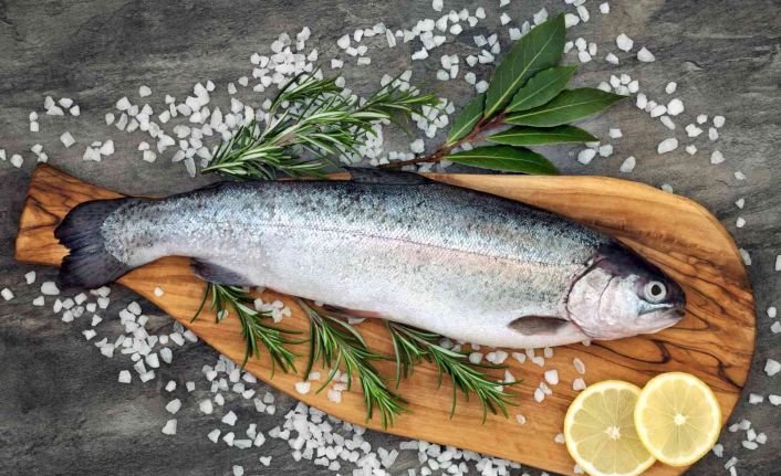 Ege Bölgesi’nde su ürünleri ve hayvansal mamuller ihracatı 1,5 milyar doları aştı