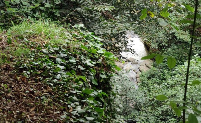 Fındık bahçesinden dereye yuvarlanan 4 yaşındaki çocuk hayatını kaybetti