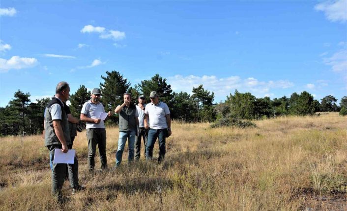 Gediz Muratdağı’na bal ormanı